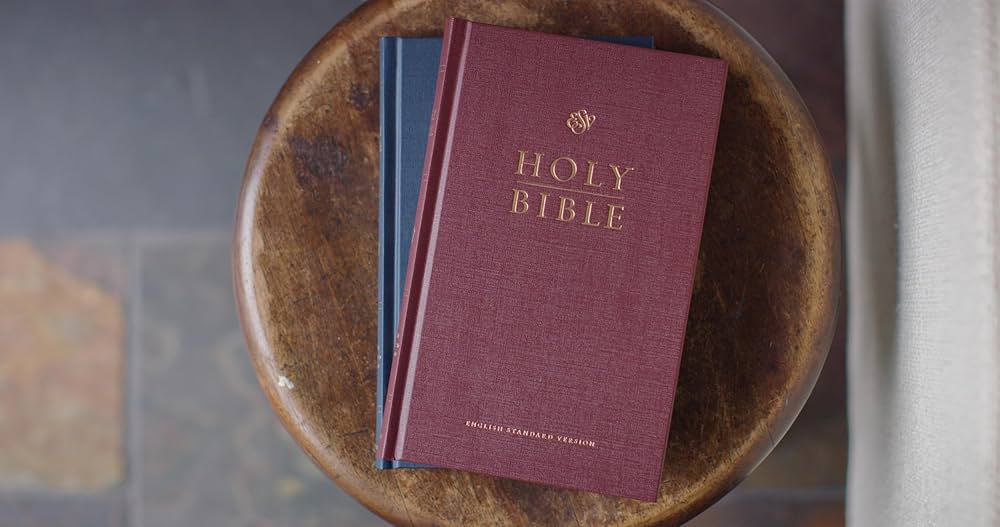 ビンテージ　HOLY BIBLE 聖書　2冊セット ESV Church Bible (Hardcover, Blue): Holy Bible, English